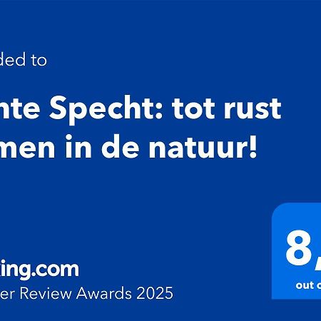 Bonte Specht: Tot Rust Komen In De Natuur! Otterlo Extérieur photo