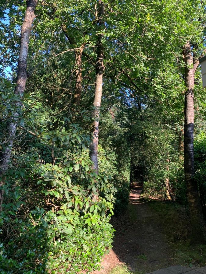 Bonte Specht: Tot Rust Komen In De Natuur! Otterlo Extérieur photo