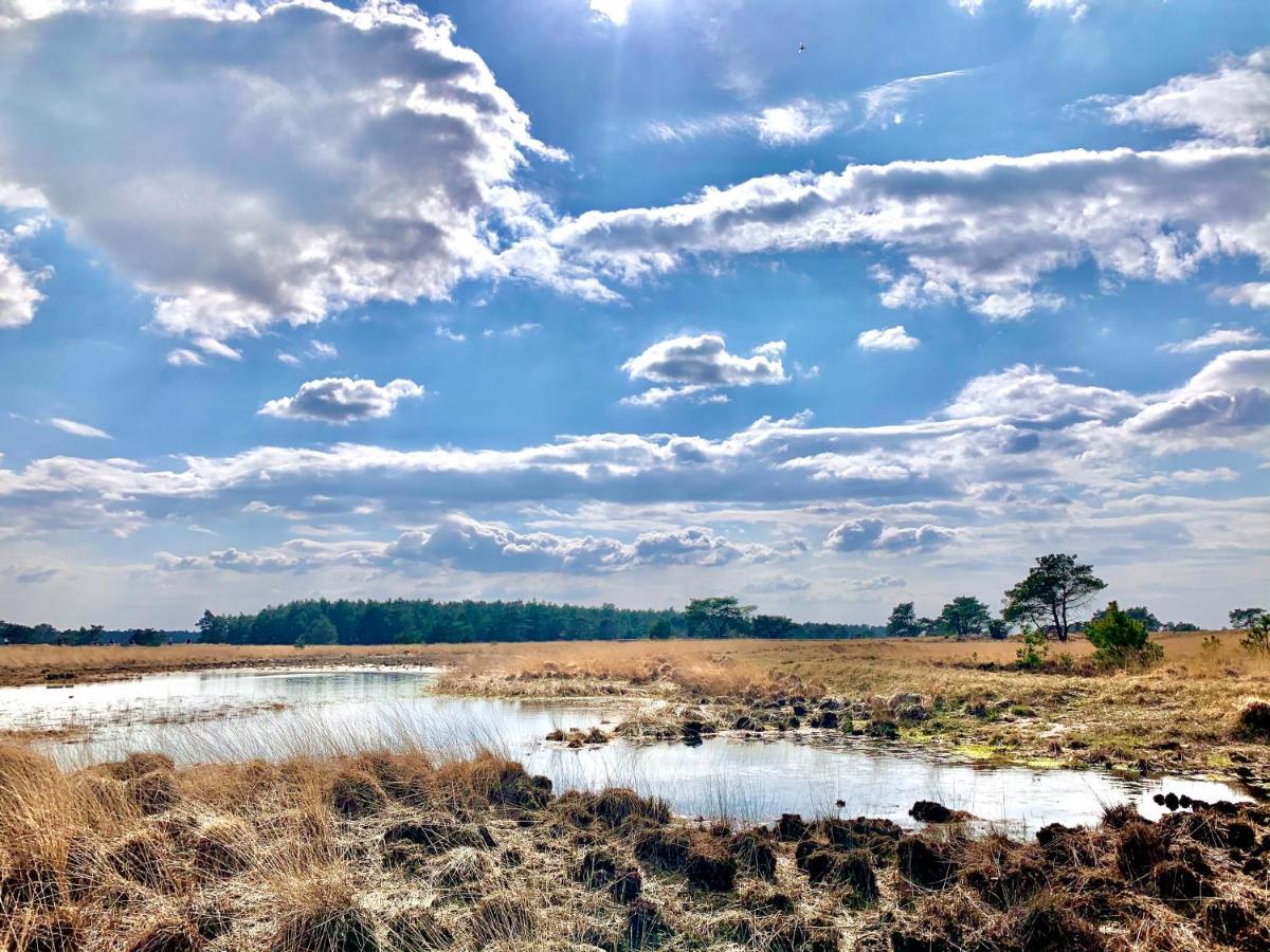 Bonte Specht: Tot Rust Komen In De Natuur! Otterlo Extérieur photo