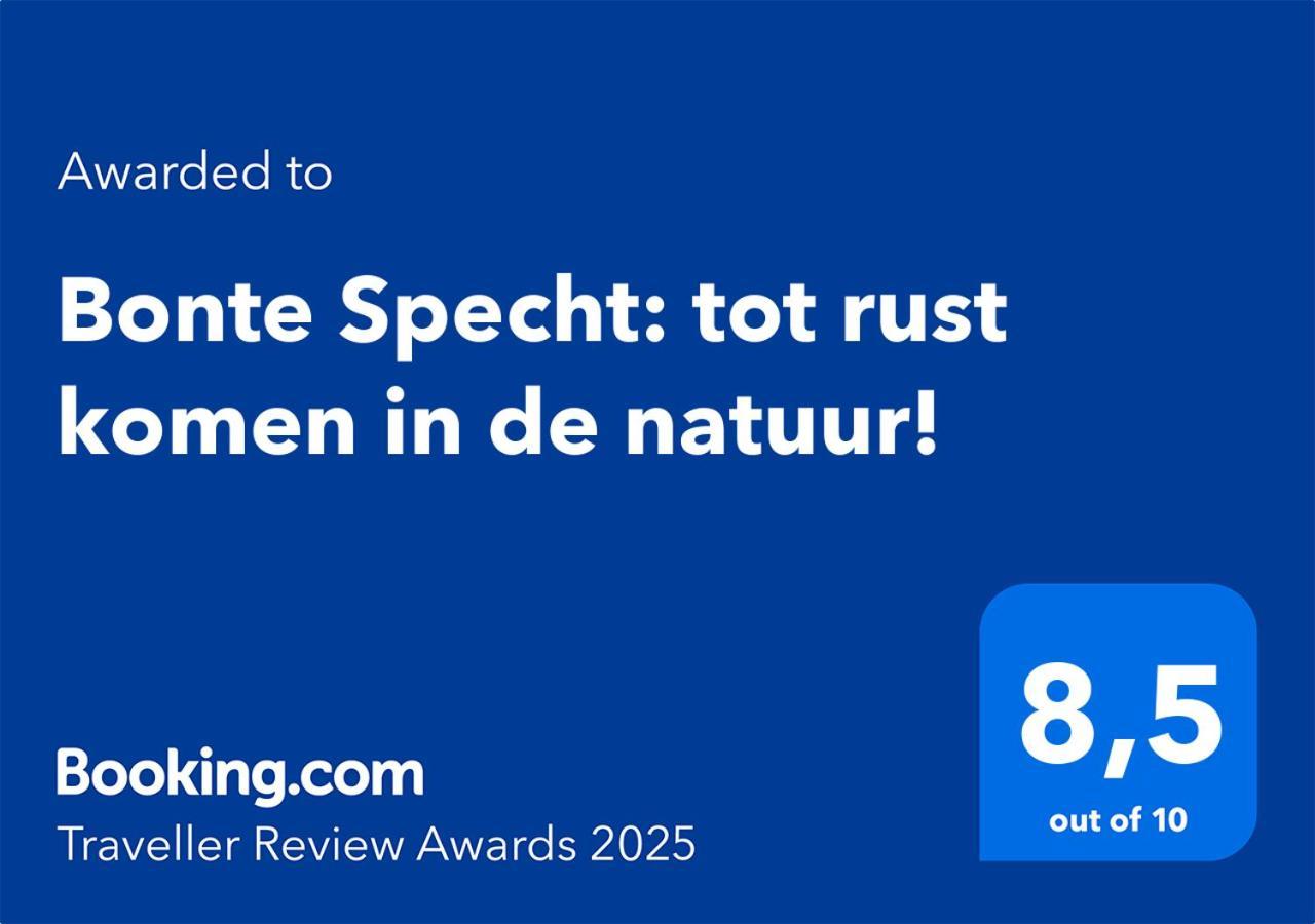 Bonte Specht: Tot Rust Komen In De Natuur! Otterlo Extérieur photo